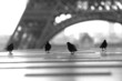 paris s'éveille  3