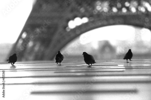 paris s'éveille  3