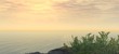 on a cliff