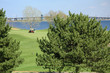 golf cart