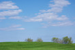 golf course