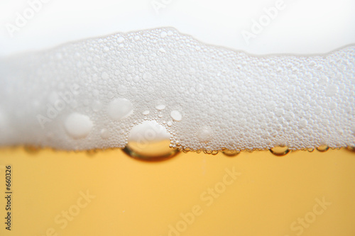 beer head