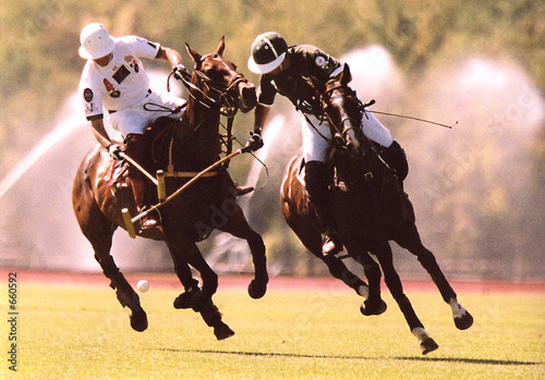 polo  4