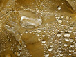 water droplets on leaves 3