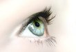 oeil