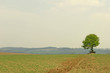 rural spring 2
