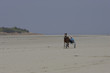 trotteur sur la plage