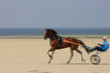 trotteur sur la plage trotteur sur la plage