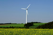 alternative energies