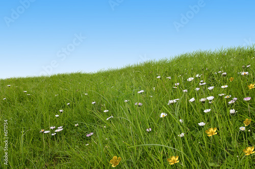 prairie
