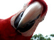 loro loro