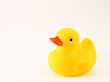rubber ducky rubber ducky