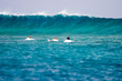surfing maldives