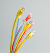 cat 5 network cable