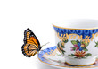 butterfly on a tea cup
