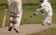 english cricket match