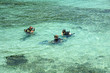 plongée sous marine