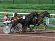 hippisme