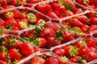 strawberrys strawberrys