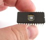 chip in hand