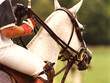 polo  7