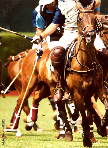 polo  12