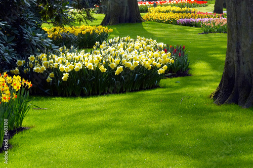 Photo: garden in spring garden in spring