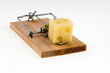 mouse trap with cheese.