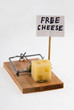 mouse trap with cheese and mouse trap with cheese and