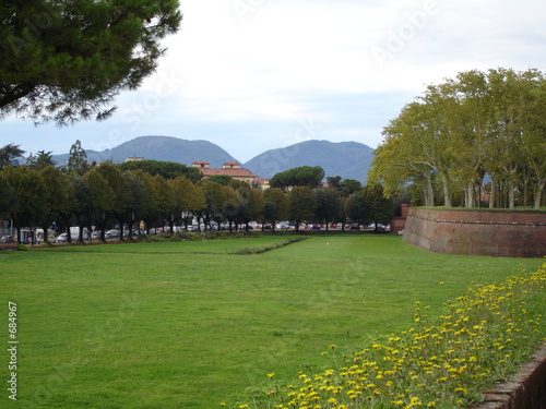 the walls of lucca