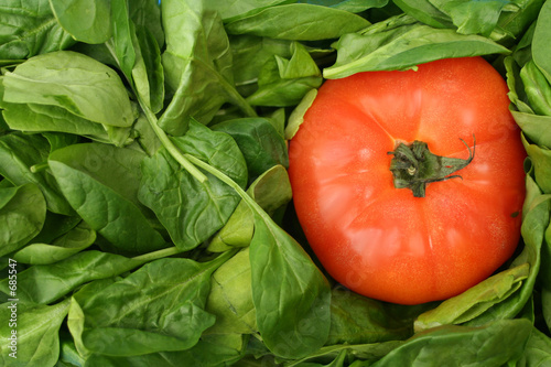 Photo: fresh vegetables fresh vegetables