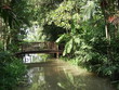 khlong khlong