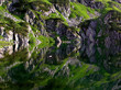 still water of lake in national park