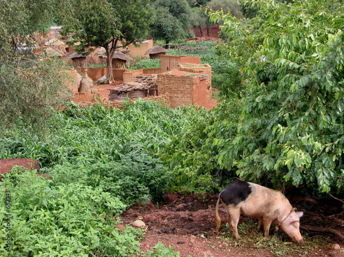 village mossi