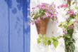 spanish flowers