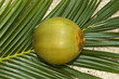 noix de coco