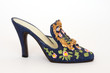 blue shoe