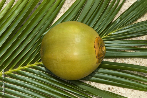 noix de coco
