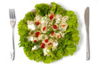 ravioli with greens sour cream and ketchup dish isolated