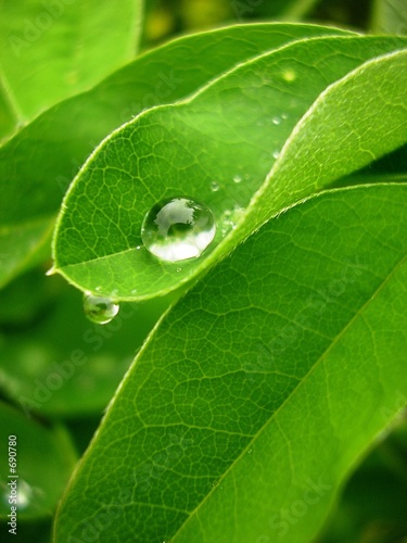 gouttes de pluie 08
