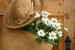 daisies in summer purse