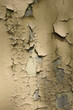 old wall. texture - 52 old wall. texture - 52