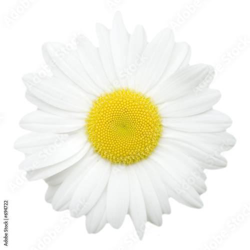 Foto: margueritte margueritte
