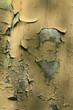 old wall. texture - 95 old wall. texture - 95