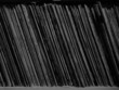records