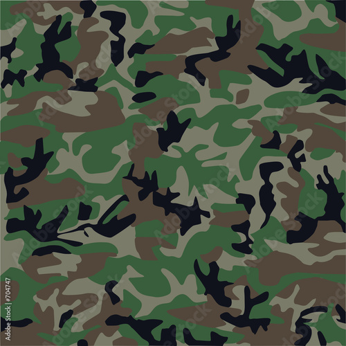 Photo: camouflage pattern camouflage pattern