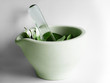natural health