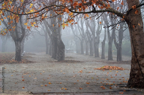 autumn in varna autumn in varna