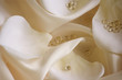 satin fantasy satin fantasy