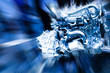 Photo: car engine car engine